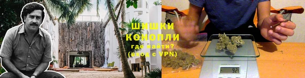 амф Белокуриха