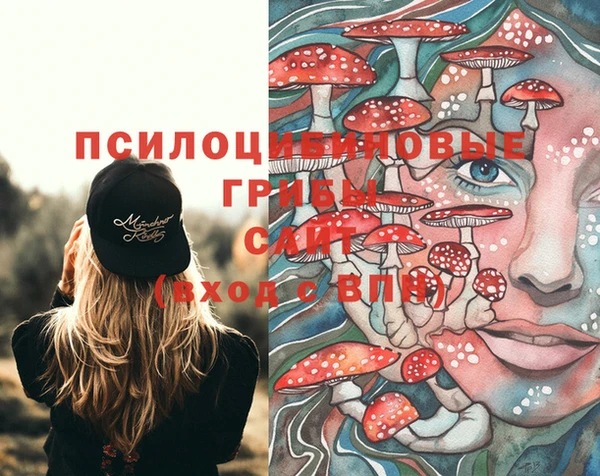 дурь Белоозёрский