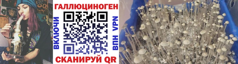 мега онион  где найти   Нижняя Салда  Галлюциногенные грибы прущие грибы 
